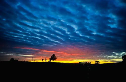 Park Wilkasy - Foto 35