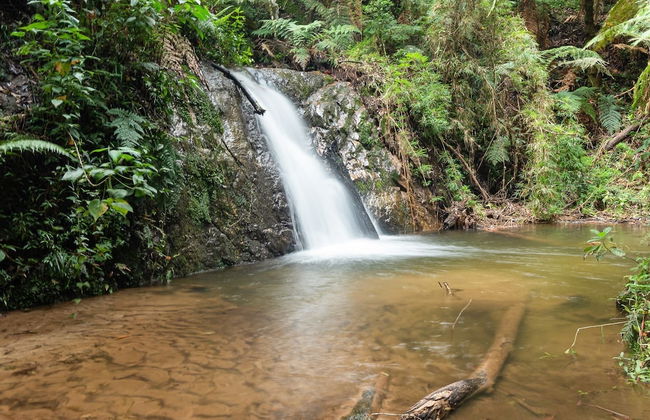 Vale do Lajeado - Campos do Jordão - Photo 50