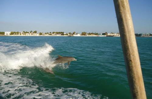 Beachfront paradise, heated pool and ocean view #9 - Foto 20