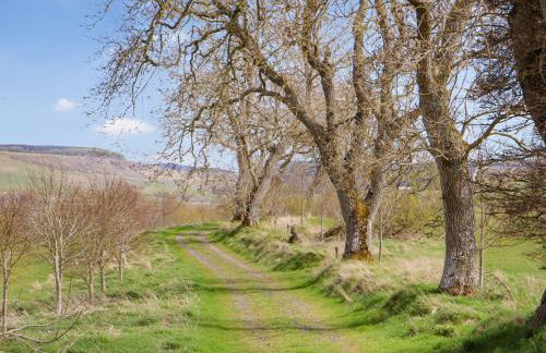 The Haining - Foto 28