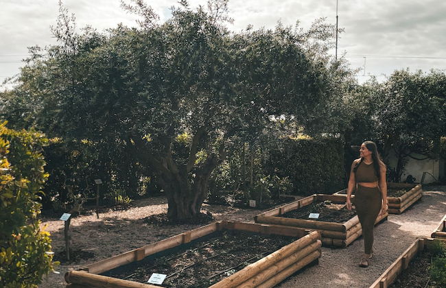 Quinta dos Perfumes - Photo 72