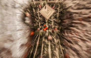 La grecità e il mare - Foto 63