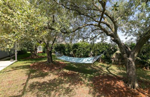 Apartments Dama - Foto 33