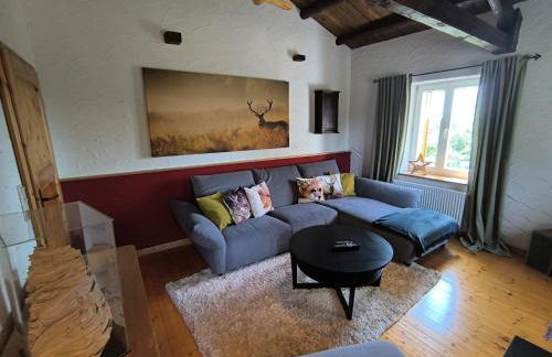 Natur und Wellness ''auf der Hardt'' -Jacuzzi- Sauna- Kinderausstattung- Alleinlage im Wald - Foto 32