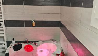 Villa avec baignoire balnéo véranda & jardin - Foto 3