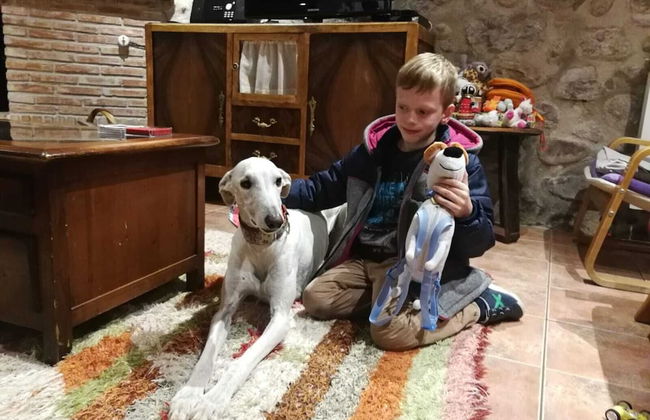 Casa Rural Villa Liquidambar - Foto 60