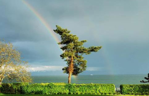 Gästehaus zum Landesteg - Foto 67