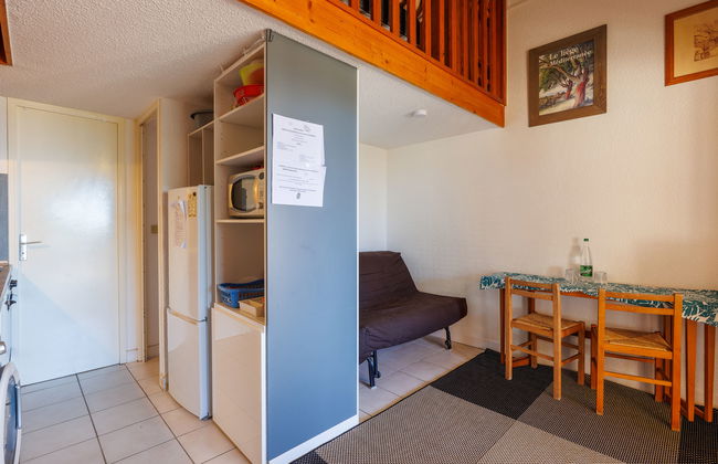 Petite Cigale - Foto 7