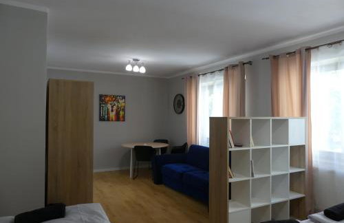 Apartament Centrum - Foto 8
