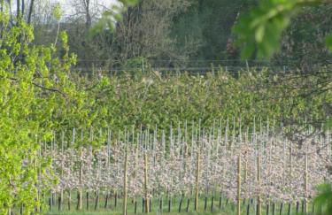 Auszeit am Fähranleger - Photo 15