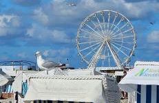 Haus Juist-Norddeich - Foto 51