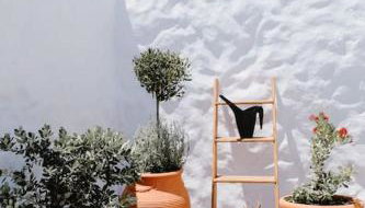 1919's Studio - Foto 5