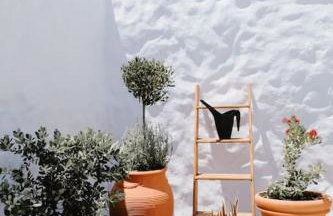 1919's Studio - Foto 5