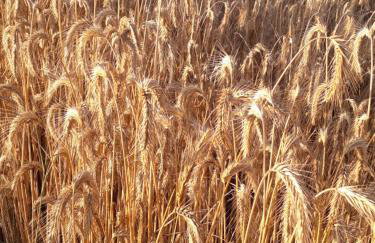 Holiday Home Dom pod Sosnami by Interhome - Foto 94