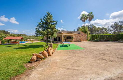 El Bosque Candy - Foto 11