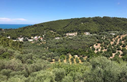 VILLA PINETA VISTA MARE - Foto 66