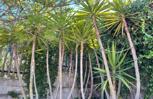 Casa vacanze Sant'Antioco - Foto 15