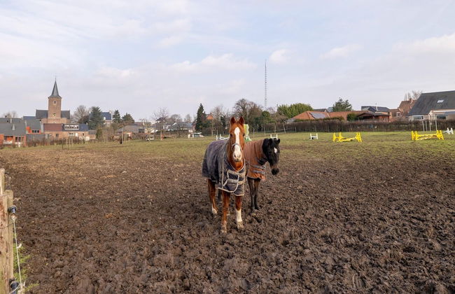 Riding School Farm Stay - Foto 41