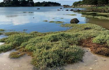 Les Villas d'Onalou - Buguélès - Foto 56