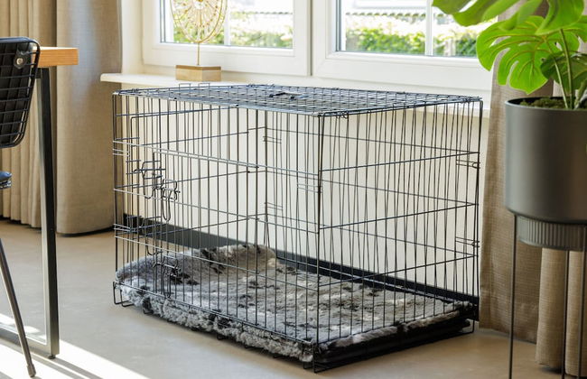 Restyled Holiday Home, Near Bad Bentheim - Foto 19