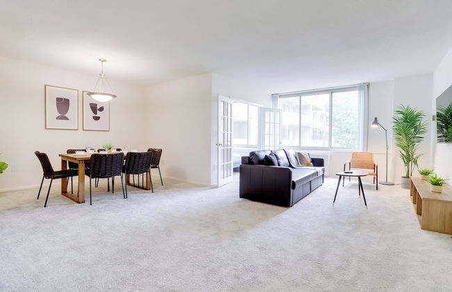 Comfortable Apt in Crystal City - Photo 17