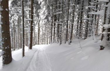 Ferienwohnung Zum Bartelt - Foto 26