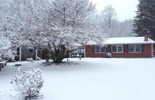 The Game Cabin at Rustic River - Foto 15