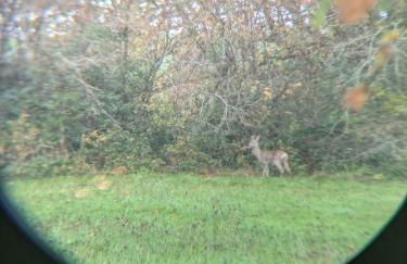 La Vieille Maison aux Canards - Foto 57