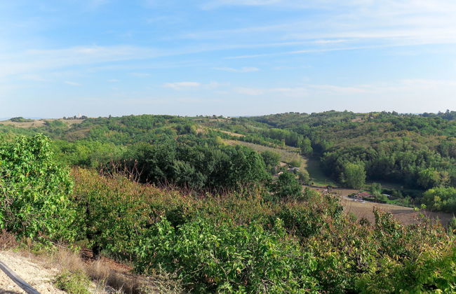 Roque Piquet - Foto 21