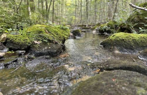 Historic Farm on 96 Acres! - Foto 22