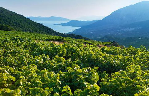 HOKKUM STUDIOS - Foto 15