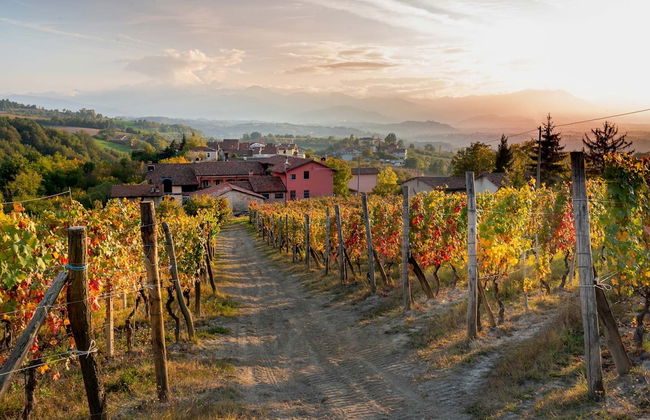 San martino langhe - Foto 41