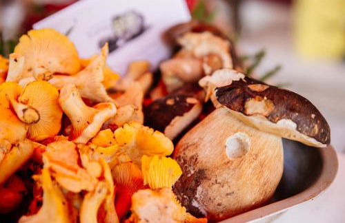 Appartement LA VIE EN ROSE - Foto 15