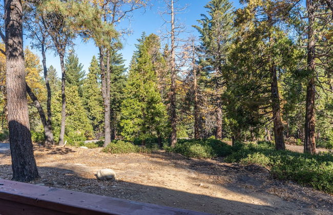 Cozy Corner Yosemite Studio Close to it All! - Foto 25