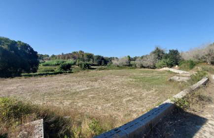 dal tramonto all'alba in Salento - Foto 30