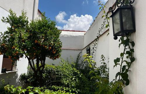 Acogedor apartamento junto a plaza de San Agustin - Foto 19