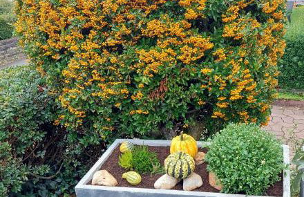 Ferienwohnung "Auszeit" - Foto 25