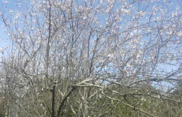 Casa da Costeira - Foto 46