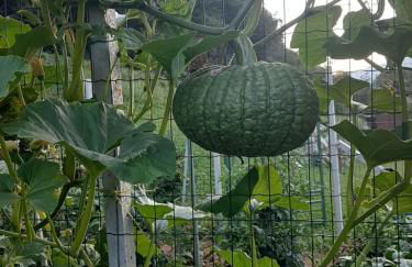 La Maison de Joanna 2 - Foto 42