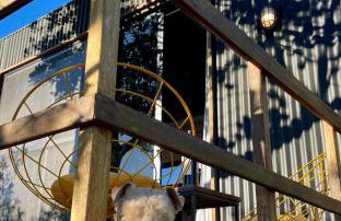 Reserva Pedra da Mata - Foto 23