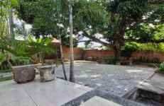 Fazendinha Dona Cândida - Foto 8