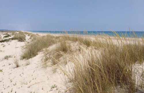 Cabanas Garden By HnM - Photo 22