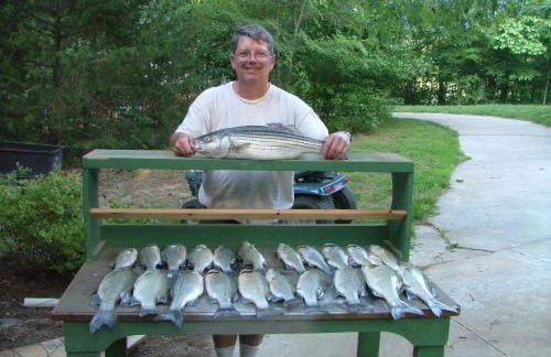 Lakefront with Hot Tub/Sauna-Beaver Lake,Arkansas - Foto 36