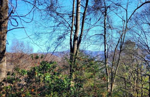 Big Timber Creek Cabin - Foto 8