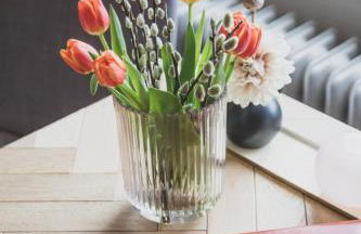 Logierhaus M - Foto 30