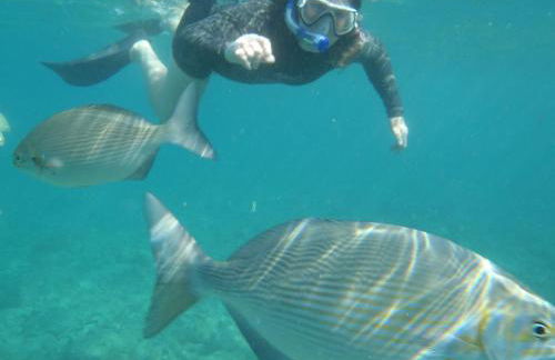 Puu Poa Ocean Bluff Condo, Incredible Views, Walk to Beaches, Pool & Tennis - Foto 28