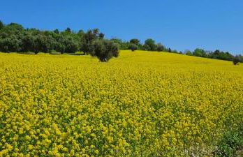 appartamento in contesto esclusivo in pieno centro - Foto 29