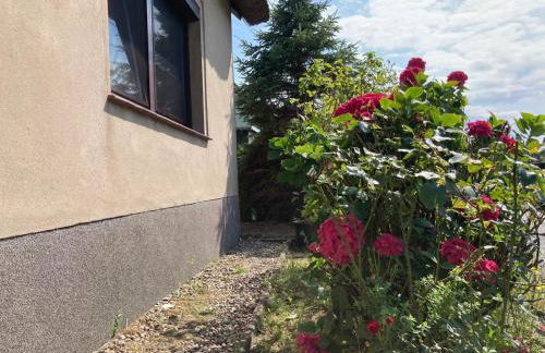 Ferienhaus Kuddel - Foto 16