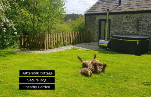 Puddleduck Valley - Dog Friendly - Foto 22