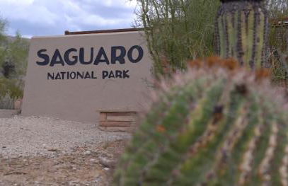 Ventana Canyon CONDO 2BR Condo w Pool & Tennis c - Foto 45